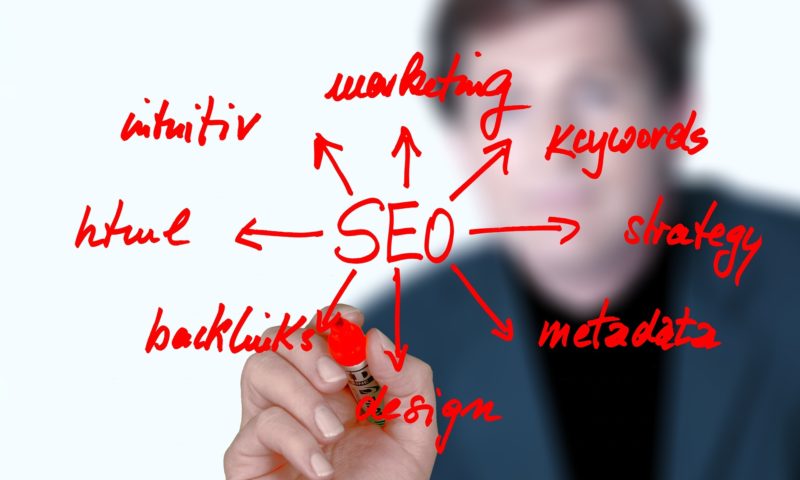 Professione Seo Specialist: come diventare esperti seo?